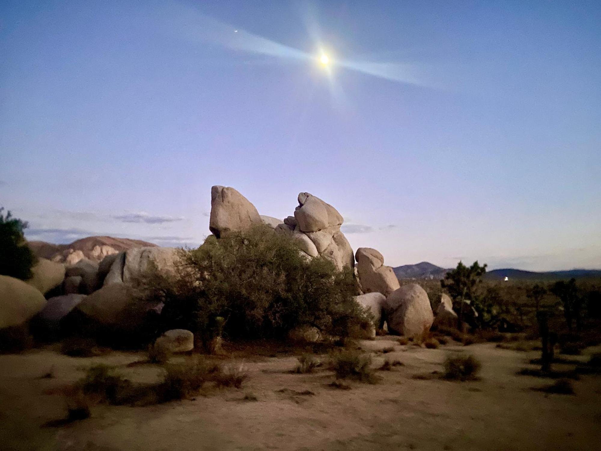 Epic Views, Huge House, Acres Of J-Trees To Explore, Hot Tub, Pool, Ac, And Mini-Golf Joshua Tree Bagian luar foto